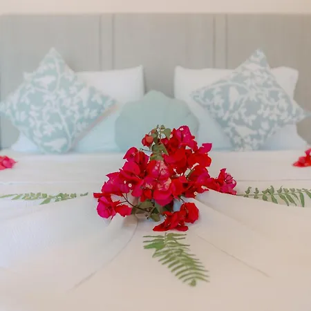 Villa Limon, Cukurbag Peninsula-kas *